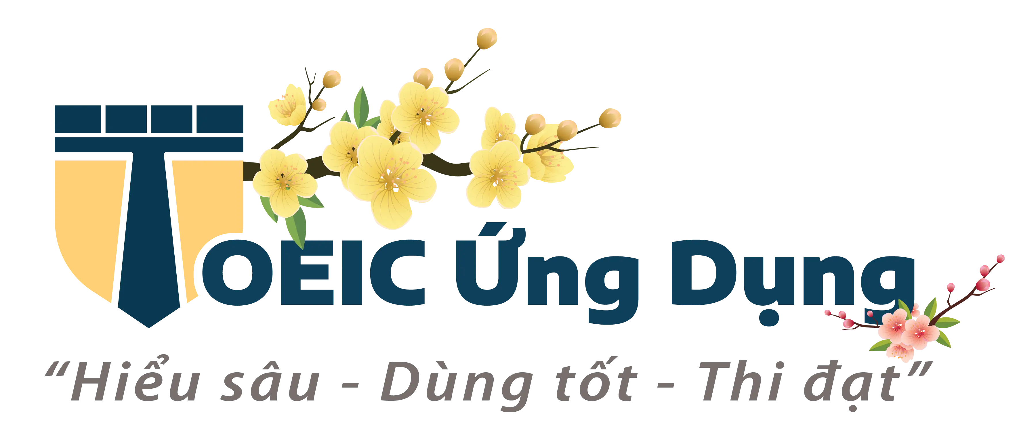 TOEIC Ứng dụng